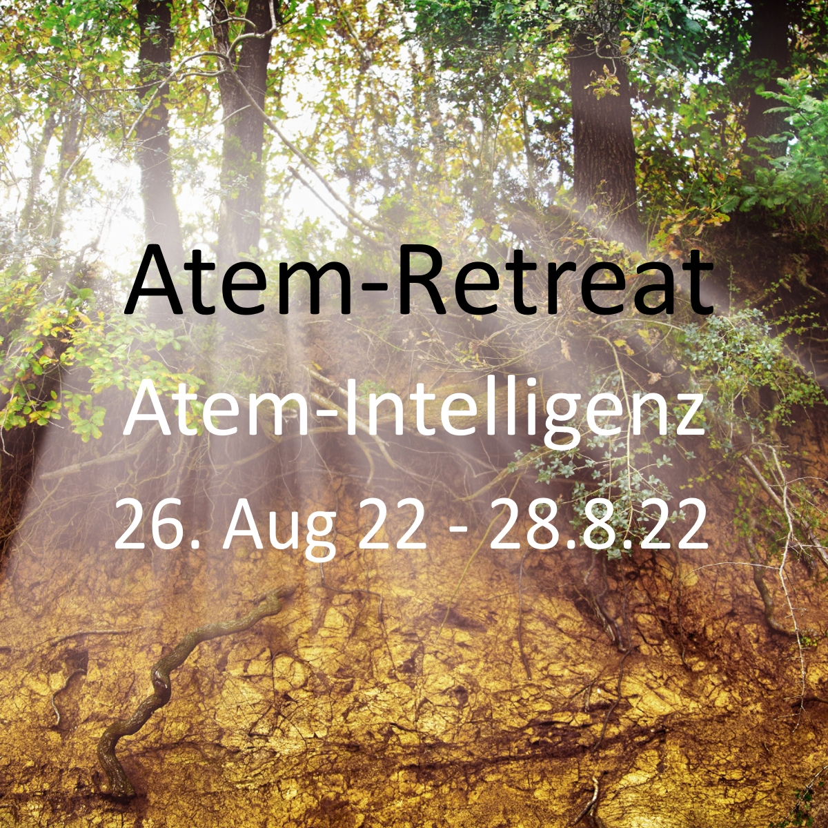 Atem-Retreat Schweibenalp